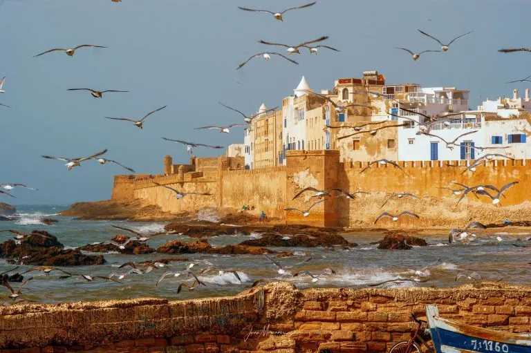 Essaouira Day Trip from Marrakech — Morocco desert tour