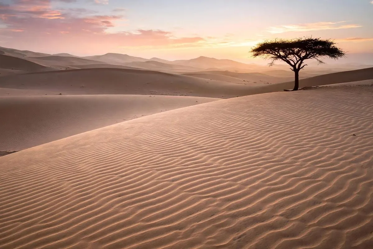 Buggy & KTM Adventures in Merzouga: Which Thrill Is for You?